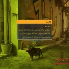 دانلود بازی Stray برای کامپیوتر + زیرنویس رایگان