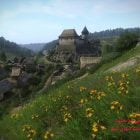 دانلود بازی Kingdom Come Deliverance Royal Edition برای کامپیوتر
