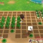 دانلود بازی STORY OF SEASONS Friends of Mineral Town برای کامپیوتر