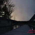 دانلود بازی Cry of Fear برای کامپیوتر