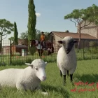 دانلود بازی Farming Simulator 22 برای کامپیوتر