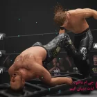 دانلود بازی AEW Fight Forever Elite Edition برای کامپیوتر