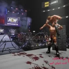 دانلود بازی AEW Fight Forever Elite Edition برای کامپیوتر