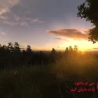 دانلود S.T.A.L.K.E.R. Anomaly برای کامپیوتر
