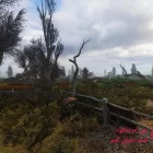 دانلود S.T.A.L.K.E.R. Anomaly برای کامپیوتر