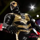 دانلود بازی WWE 2K15 برای کامپیوتر