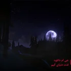 دانلود بازی The Long Dark برای کامپیوتر