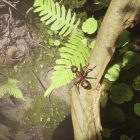 دانلود بازی Empire of the Ants برای کامپیوتر