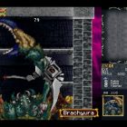 دانلود بازی Castlevania Dominus Collection برای کامپیوتر