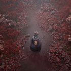دانلود بازی Silent Hill f “سایلنت هیل اف” برای کامپیوتر